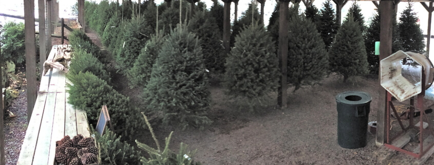 Herbeins Christmas trees