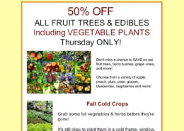 Flash Sale fruit Herbeins Garden Emmaus Pa