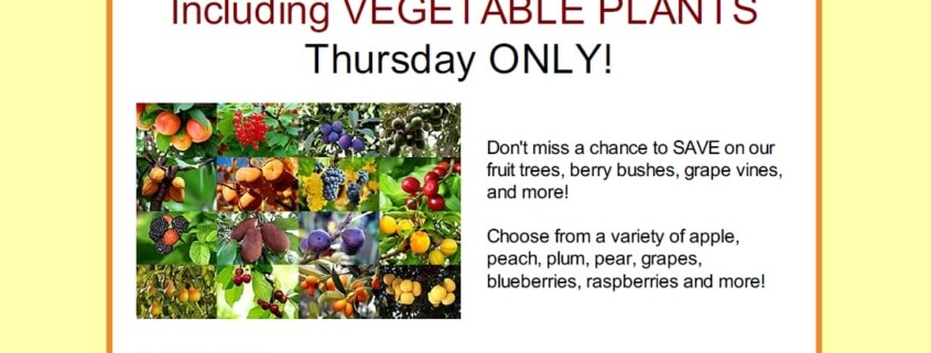 Flash Sale fruit Herbeins Garden Emmaus Pa