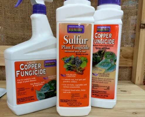 fungicide herbeins organic options garden fungicides