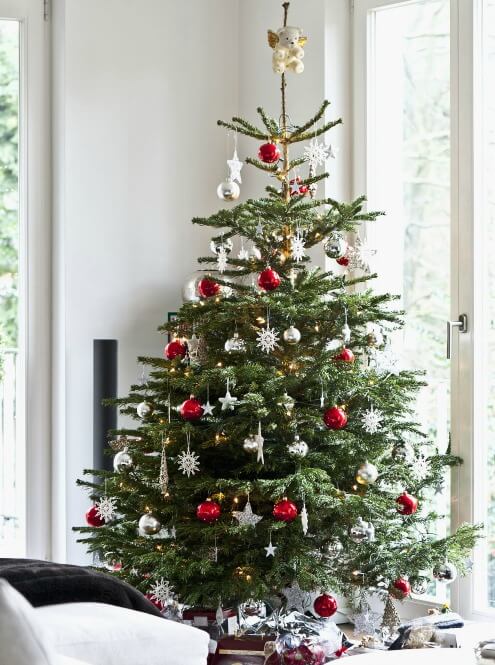 How To Take Care of Your Christmas Trees