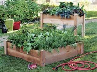 Gronomics Raised Garden Bed Vegetables Herbs Herbeins Garden Center Emmaus PA
