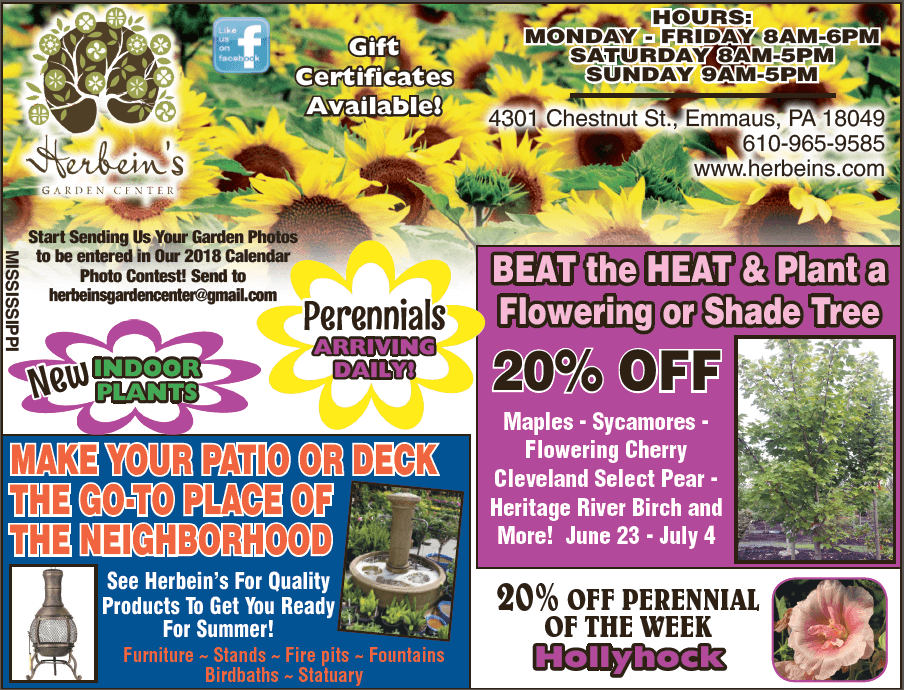 Newspaper Ad June 28, 2017 Herbeins Garden Center Emmaus Pa Sales Perennial of the Week Patio Furniture Plants