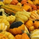 Fall Gourds Pumpkins Herbeins Garden Center Lehigh Valley Emmaus PA
