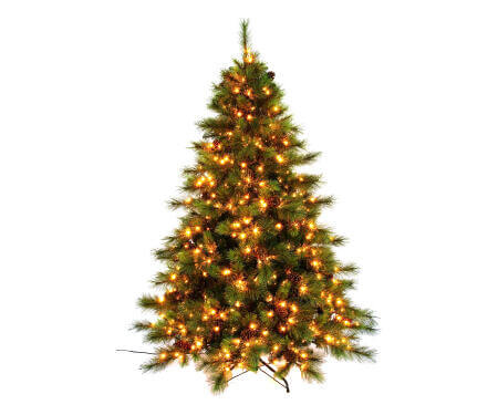Calvert Christmas Tree