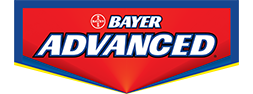 Bayer Advanced