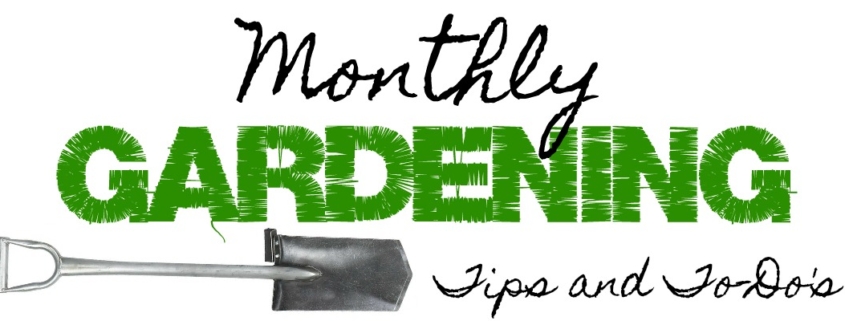 Monthly Gardening Tips