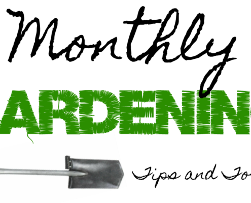 Herbeins Garden Center Monthly Gardening Tips