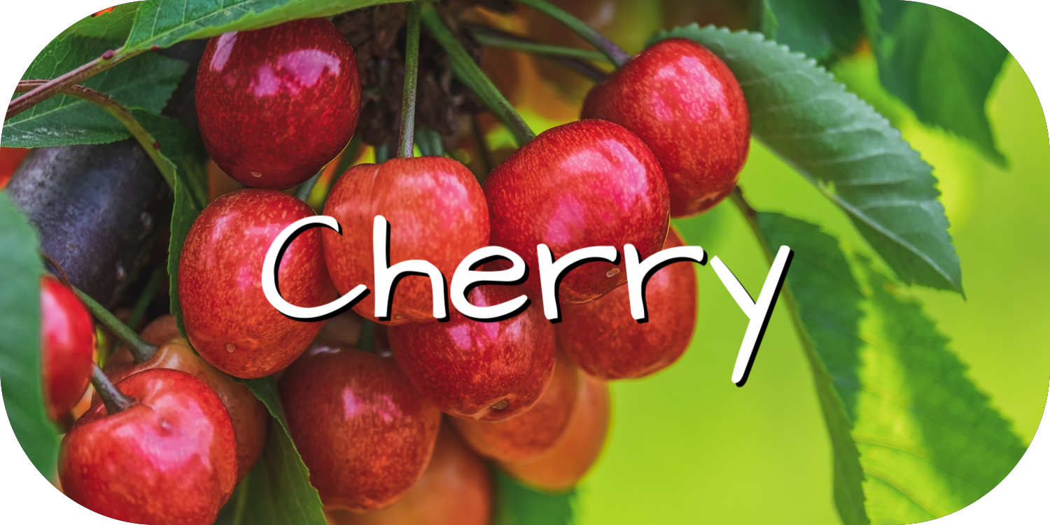 Cherry Growing Guide