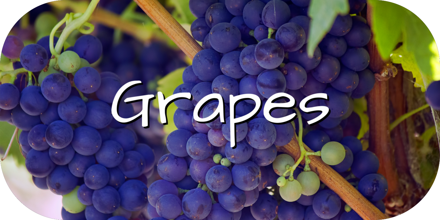 Grapevine Growing Guide