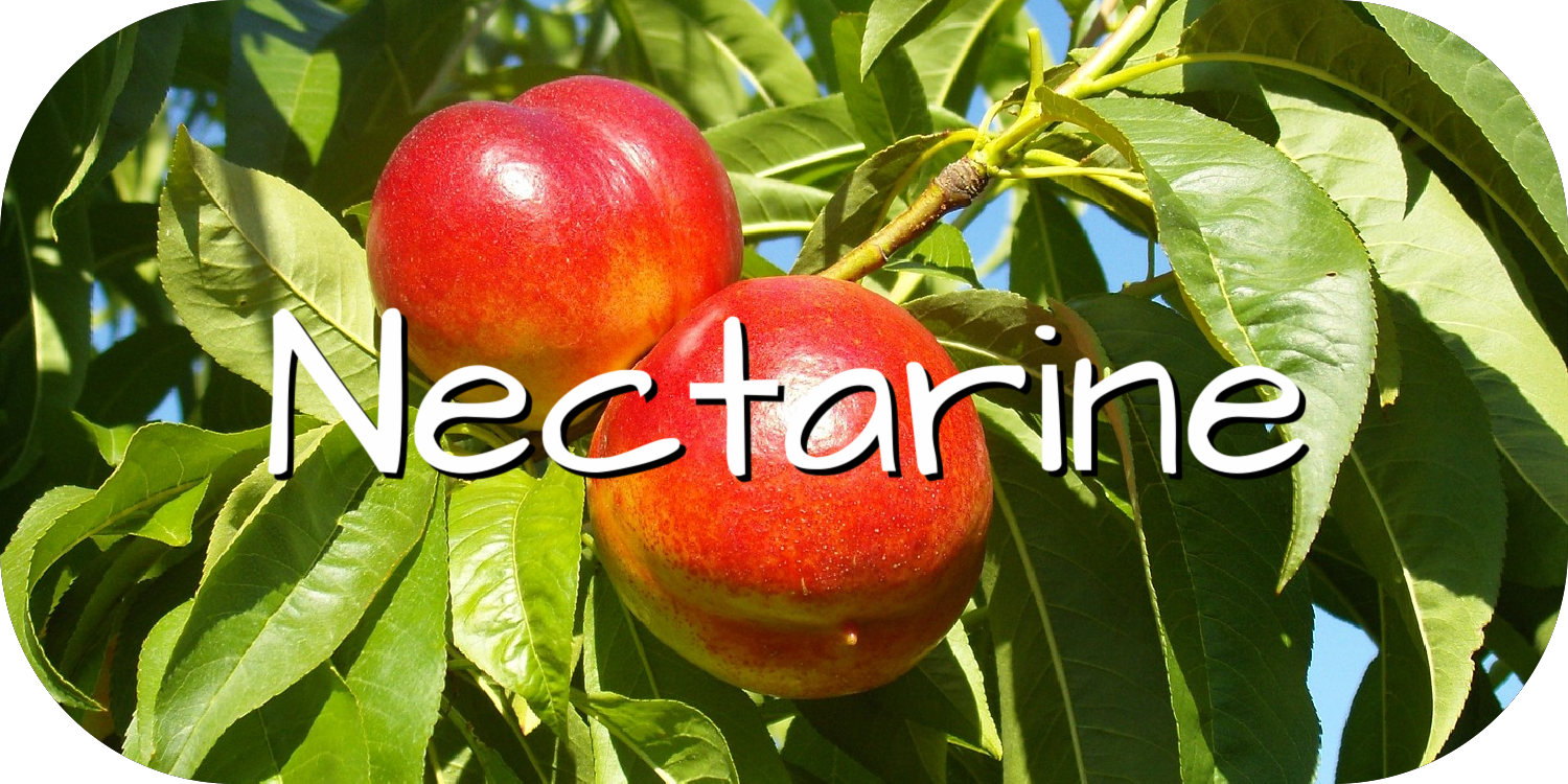 Nectarine Growing Guide
