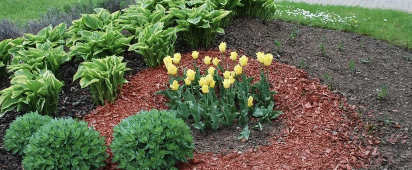 Mulch