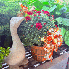 Flower arrangement Flower arrangement