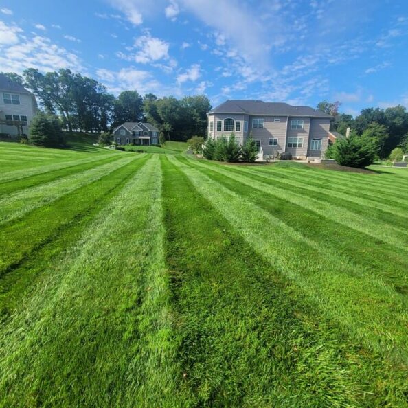 Lush green lawn with striped grass and beautiful residential homes in the background.