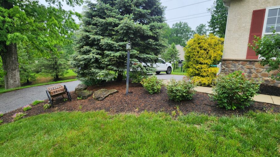 Landscape Design Services