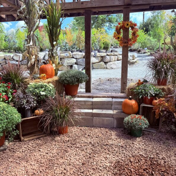 Luxury Package Fall Porch Decoration - Luxury