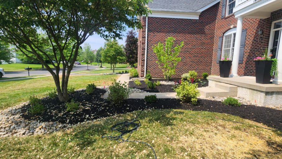 Landscape Design Services