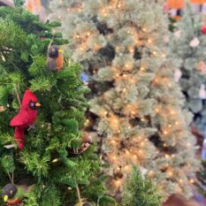 Colorful felt bird decorations on a Christmas tree at Herbein's Garden Center.