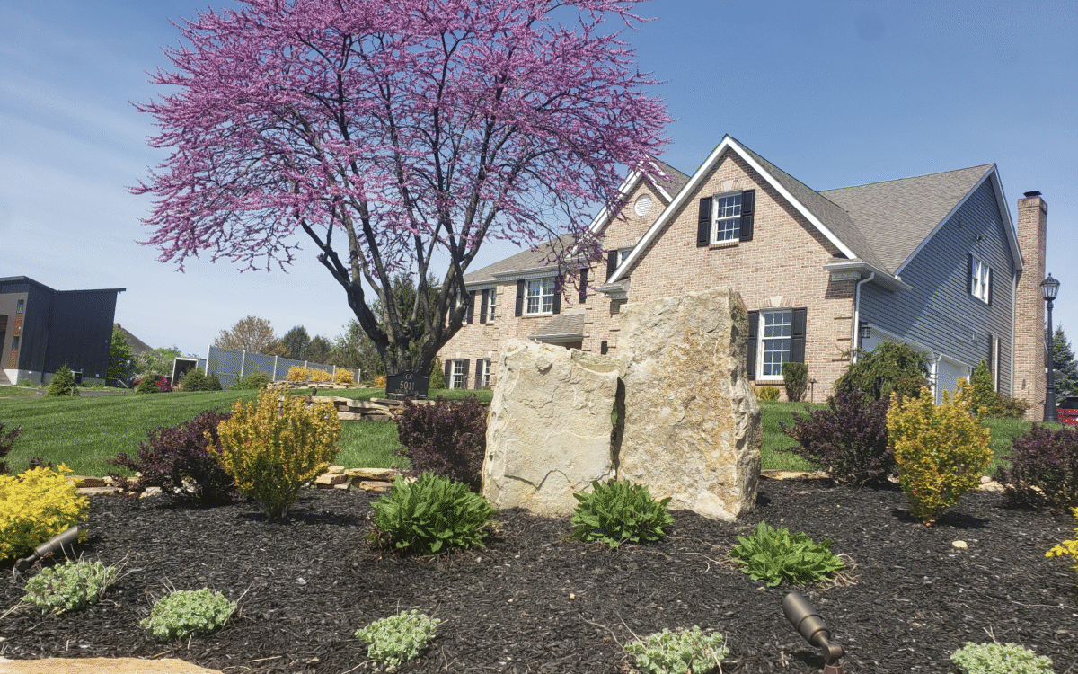 Curb Appeal