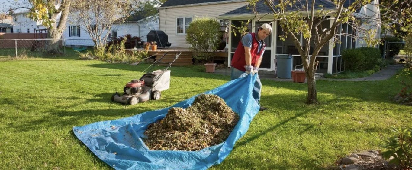 Curb Appeal 3