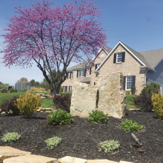 Curb Appeal