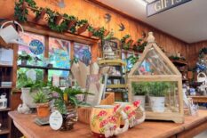 Brightly decorated gift corner at Herbein's Garden Center with plants, ornaments, and garden décor.