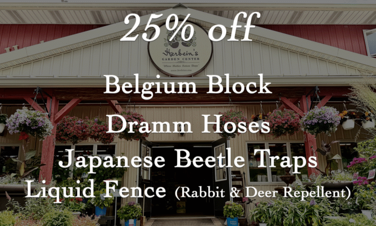 Sale at the garden center