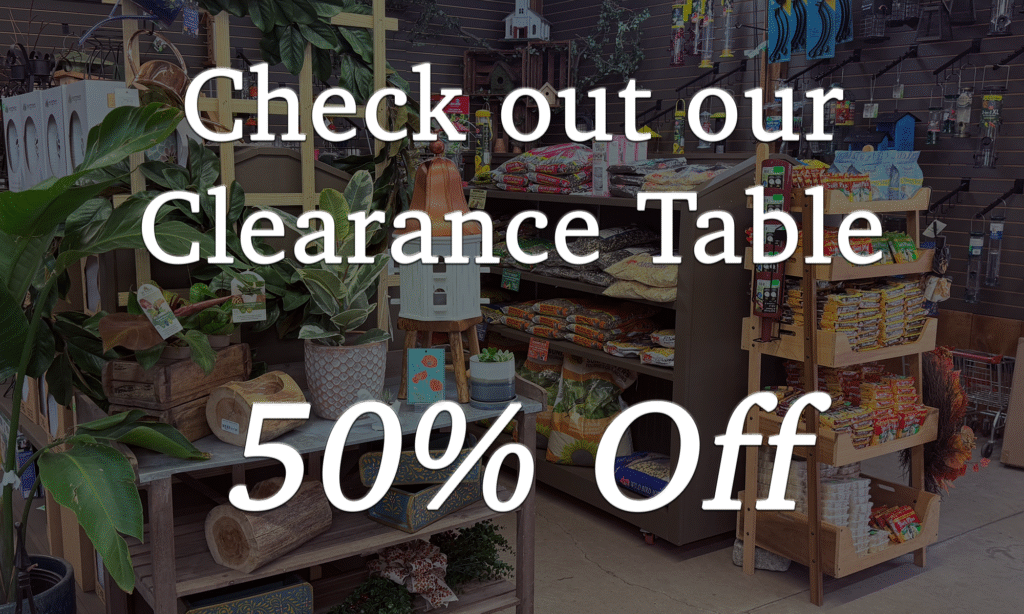 Clearance items at the local garden center in Emmaus