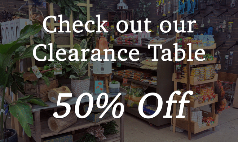 Clearance items at the local garden center in Emmaus