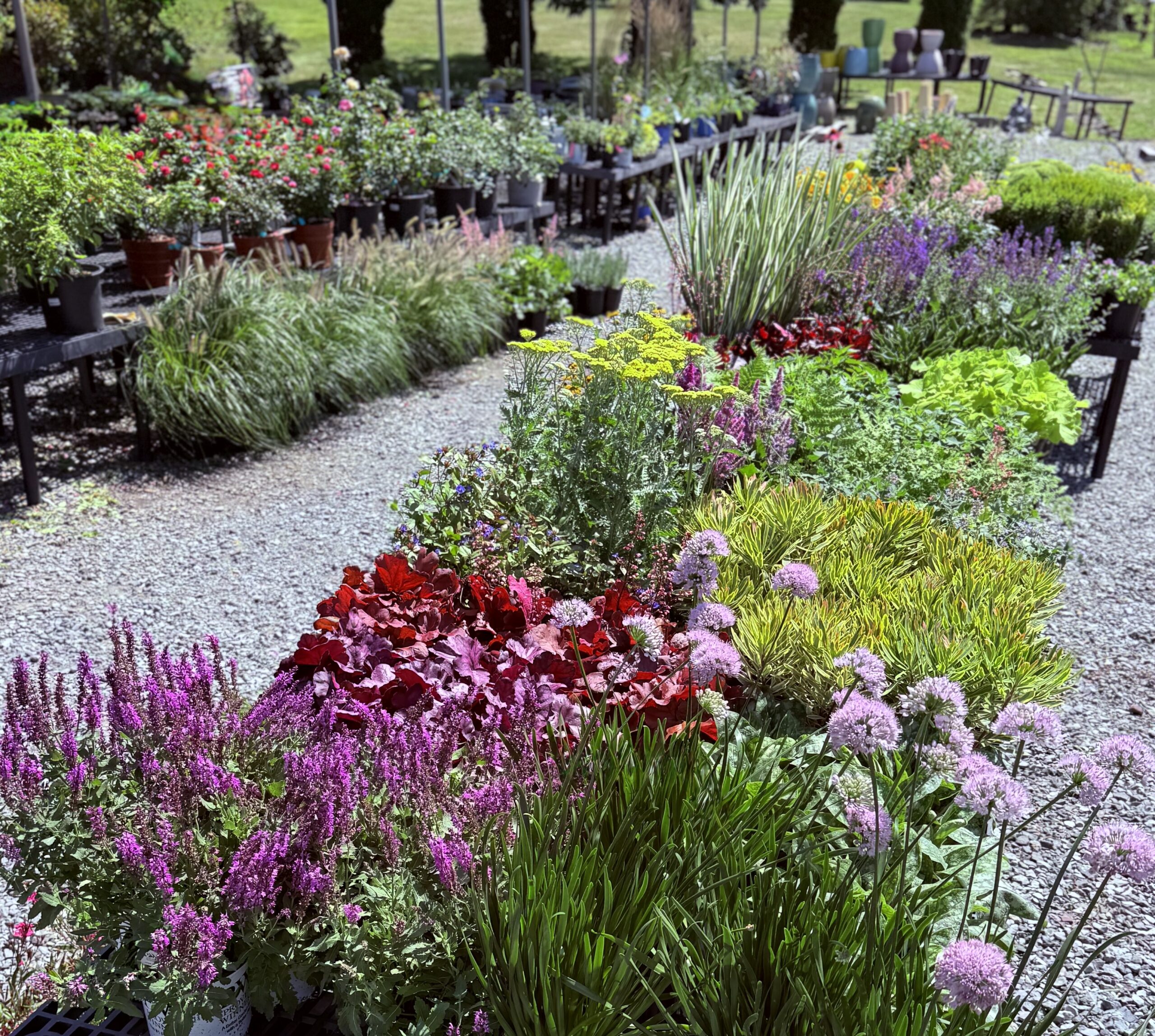 Flowers for sale in the Lehigh Valley