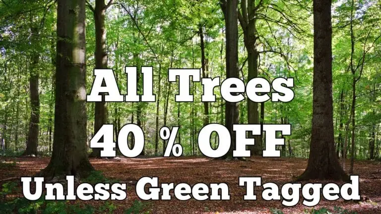 Trees on sale