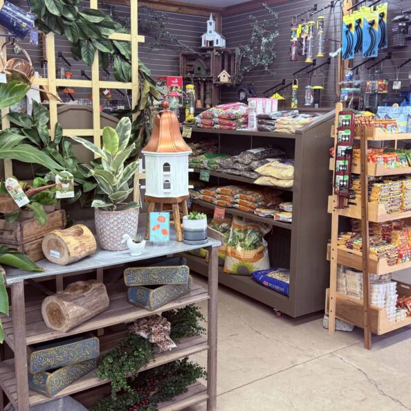 Lush green potted plants and garden decor at Herbein's Garden Center.