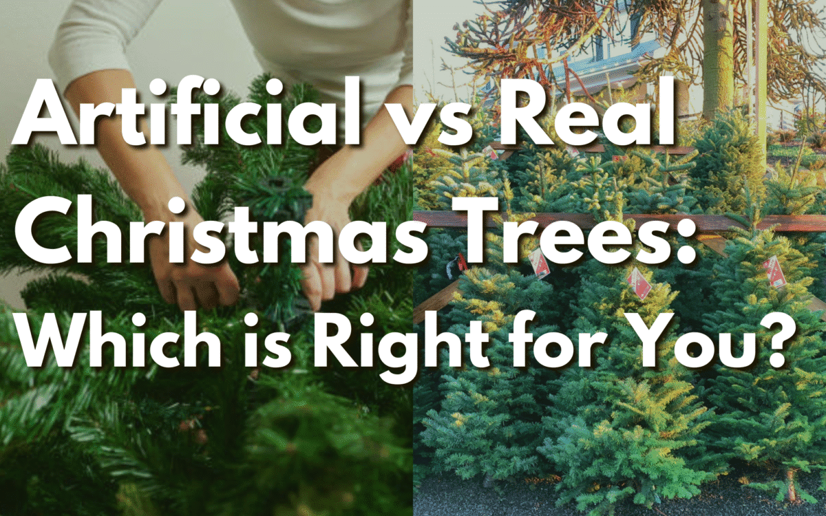 Artificial Christmas trees at Herbein's Garden Center for comparison with real trees, helping you choose the best holiday decoration.
