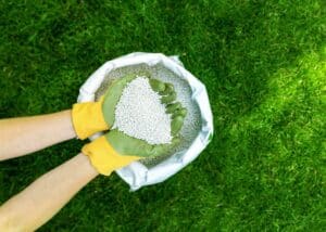 Bag of fertilizer being spread on grass for lawn care at Herbein's Garden Center.