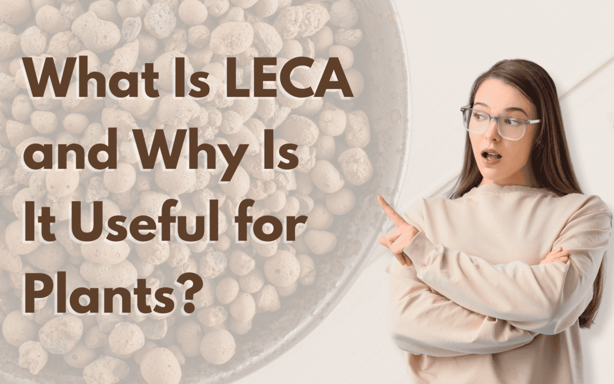 Leca clay pellets for landscaping and interior plants, decorative gardening supplies, soil amendment materials.