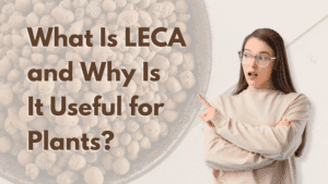 Leca clay pellets for landscaping and interior plants, decorative gardening supplies, soil amendment materials.