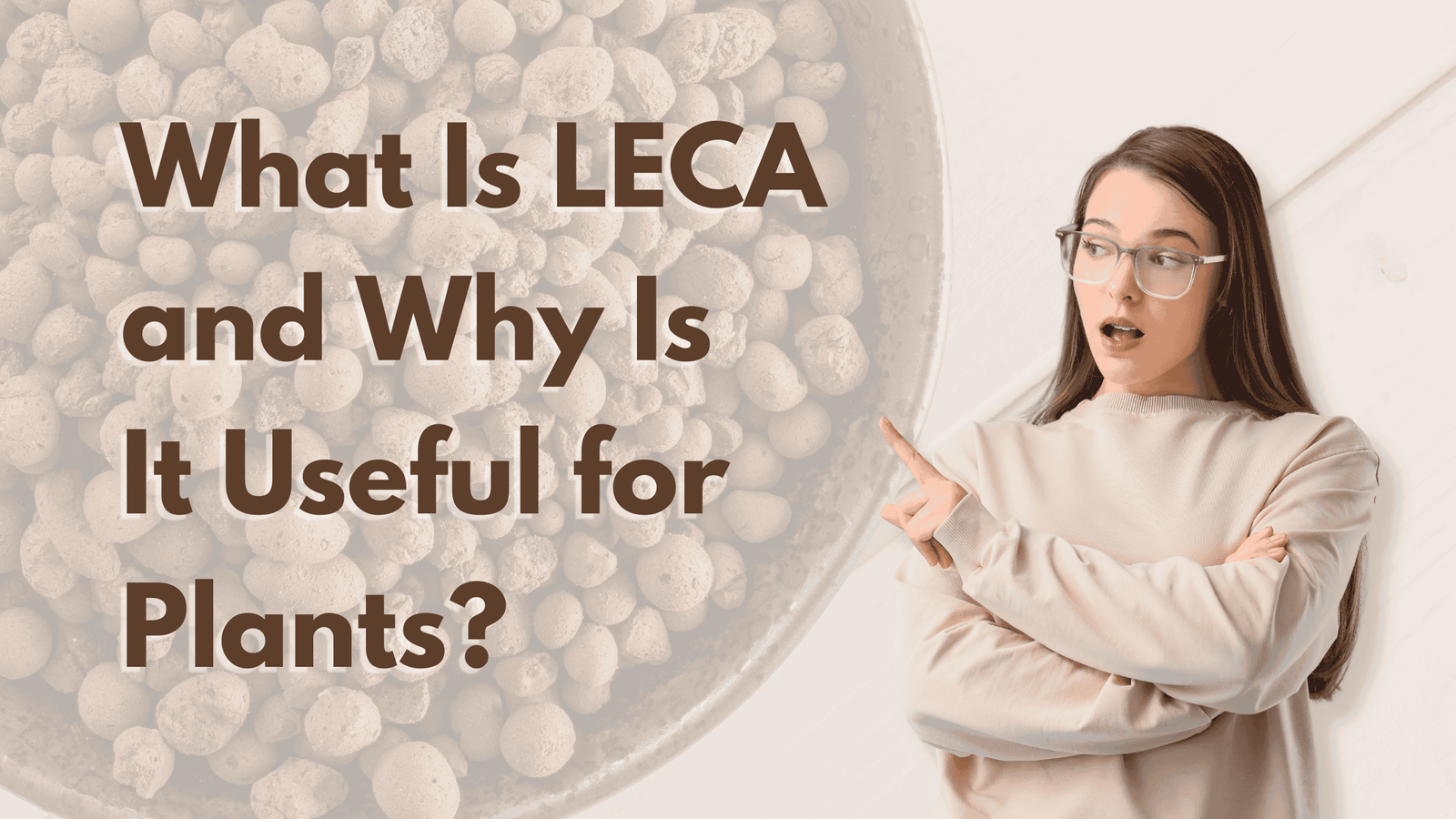 Leca clay pellets for landscaping and interior plants, decorative gardening supplies, soil amendment materials.