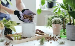 Potting plants in ceramic container at Herbein's Garden Center.