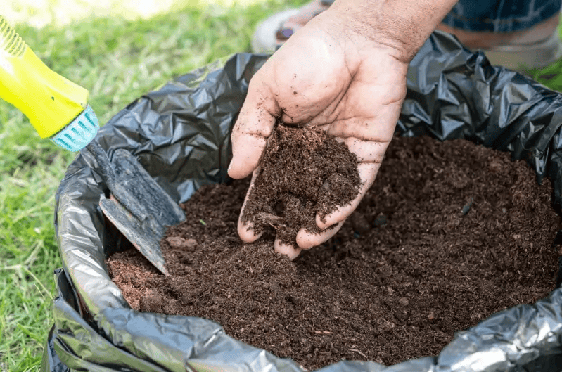 Rich, dark garden soil in a black compost bag, ideal for planting and garden beds.