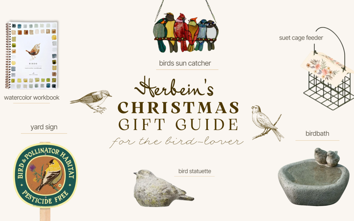 Birds garden decor, sunflower birdbath & stationery for bird lovers at Herbein's Garden Center.