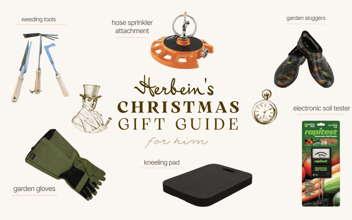 Garden sluggers waterproof shoes perfect for outdoor gardening engaging in soil and plant care.