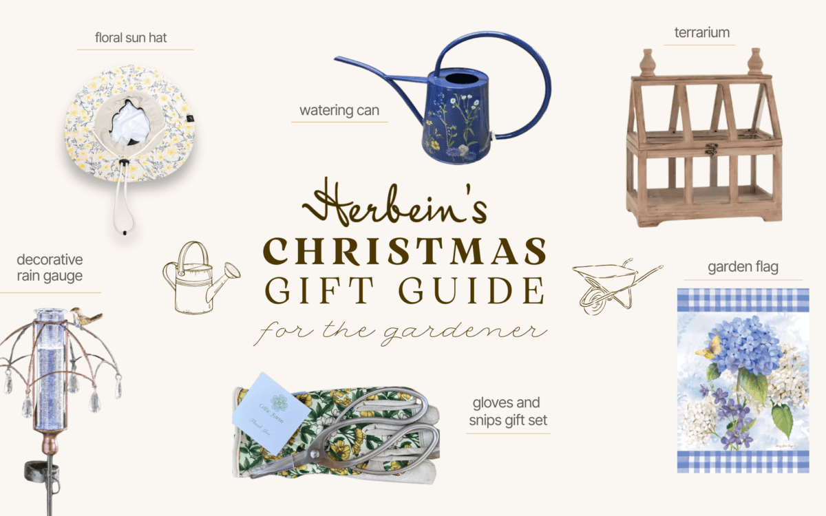 Colorful garden tools and accessories for gardening enthusiast.