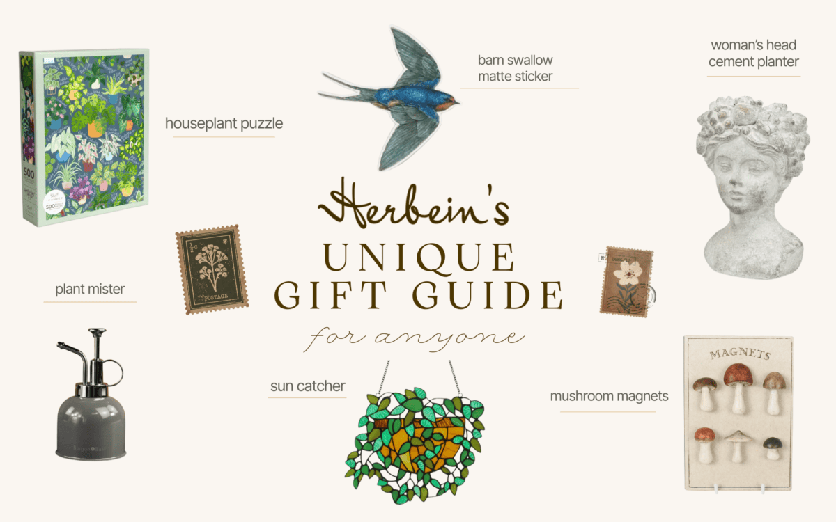 Vibrant houseplant puzzle featuring lush greenery, ideal for plant lovers and garden decor.