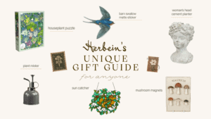 Vibrant houseplant puzzle featuring lush greenery, ideal for plant lovers and garden decor.