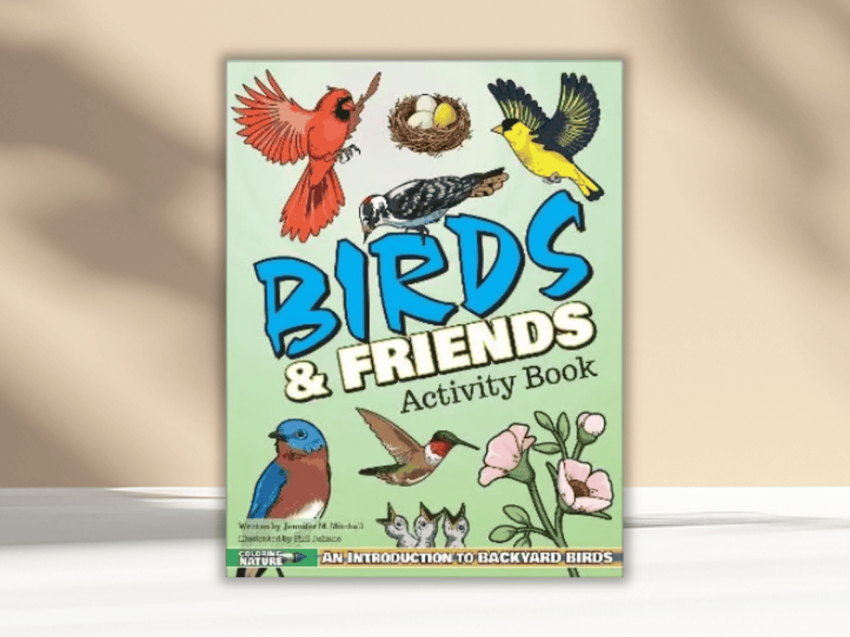 Vibrant cover featuring colorful backyard birds and nest illustration. Educational activity book for children about birds.