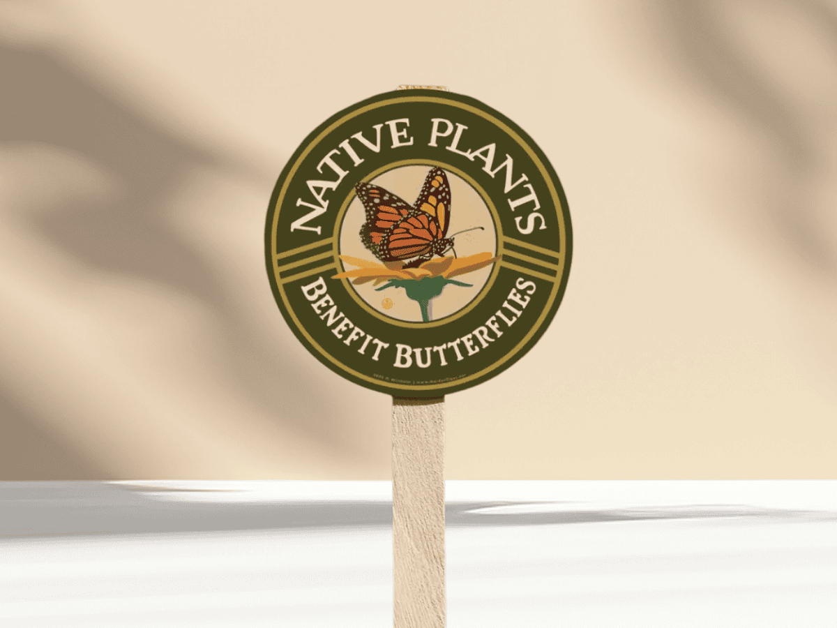 Colorful butterfly on a native plant sign at Herbein's Garden Center.