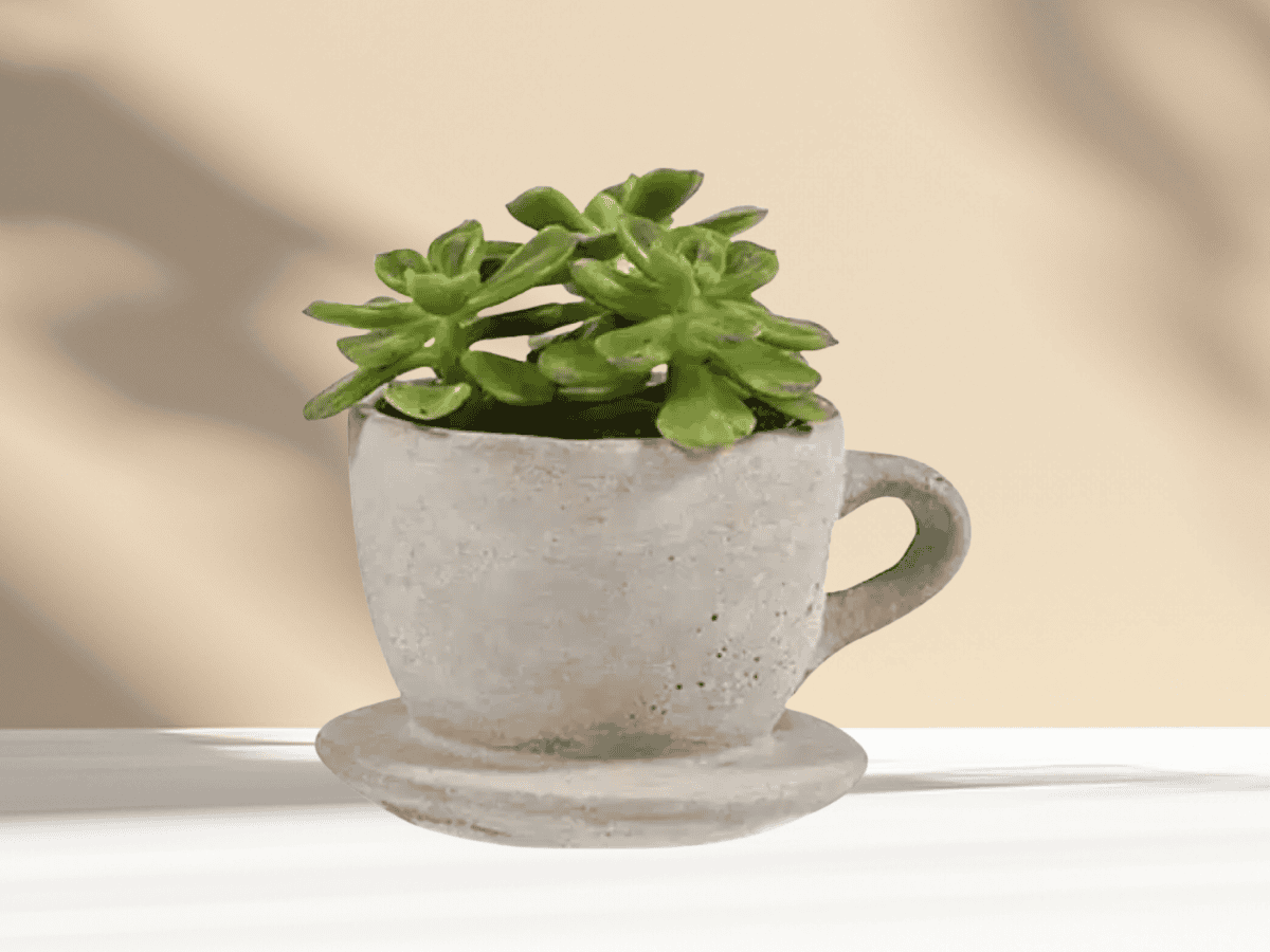 A vibrant green succulent plant displayed in a rustic concrete cup, perfect for indoor or garden decoration.