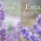 French vs English Lavender
