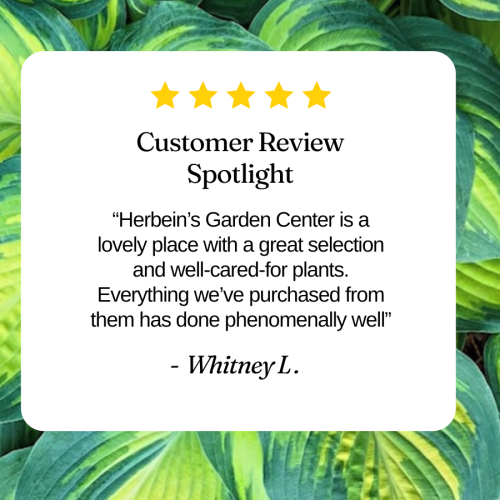 Customer Review for the garden center