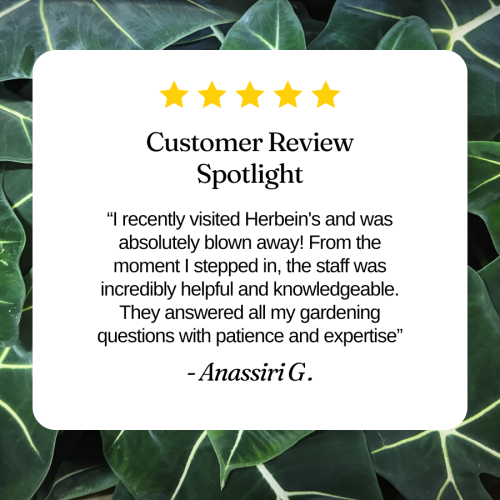 Customer Review for the garden center